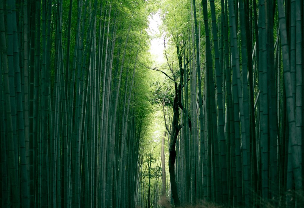Photo by Weichao Deng on Unsplash